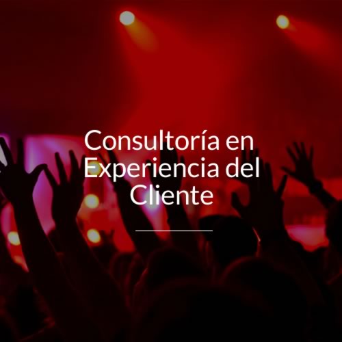 consultoria en experiencia del cliente