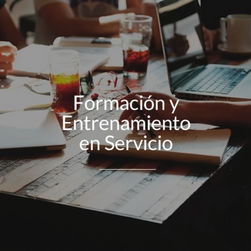 formacion y entrenamiento en servicio